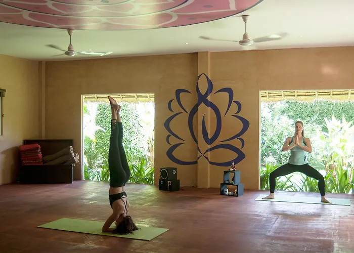 Resort Navutu Dreams & Wellness Retreat 5*